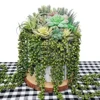 Supla 4 Pcs Artificial Hanging Succulents Faux Burro's Tail Picks Trailing String Of Pearls Succulents Fake Greenery Sprays For Basket Planter Centerpiece Floral Arrangement Indoor Outdoor Decor
