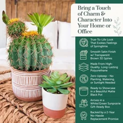 Sunprairie 14” & 30” Tall Rustic Artificial Cactus In Bloom With Soft Spines —Plant Decor Including Attractively Matching Matte Black Pot—Gorgeous Artificial Succulent Plants. -Nearly Natural Store 61d2xMaSUnL