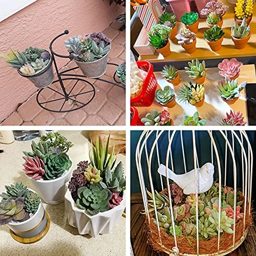 CEWOR 20pcs Artificial Flocked Succulents Mini Fake Succulent Plants Faux Premium Decor For DIY Crafting Home Floral Wall Garden Arrangement Office Decoration (Unpotted) 4 CEWOR 20pcs Artificial Flocked Succulents Mini Fake Succulent Plants Faux Premium Decor For DIY Crafting Home Floral Wall Garden Arrangement Office Decoration (Unpotted) - Image 4