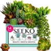 Seeko Artificial Succulents (14 Pack) - Premium Succulent Plants Artificial - Realistic Faux Succulents - Unpotted Textured Fake Succulents Decor For DIY - Fake Plants