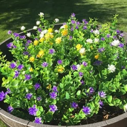 CEWOR 8pcs Artificial Greenery Plants Outdoor UV Resistant Fake Plastic Boxwood Shrubs Grass Stems For Home Wedding Courtyard Indoor And Outside Garden Porch Patio Window Box Farmhouse Decoration 7 CEWOR 8pcs Artificial Greenery Plants Outdoor UV Resistant Fake Plastic Boxwood Shrubs Grass Stems For Home Wedding Courtyard Indoor And Outside Garden Porch Patio Window Box Farmhouse Decoration -Nearly Natural Store 61iXNn8400L