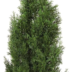 Nearly Natural 5172 4ft. Cedar Tree Silk Tree (Indoor/Outdoor),Green,49.5" X 9" X 9" -Nearly Natural Store 61r4Oyvi0CL