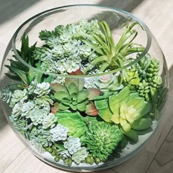 Winlyn 19 Pcs Assorted Artificial Succulents Plants Unpotted Small Green Aloe Hops Cactus String Of Pearls Picks Fake Succulents Bulk For Succulent Garden Floral Arrangement Indoor Outdoor Home Decor -Nearly Natural Store 61t9eAPjuyL