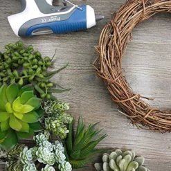 Winlyn 6 Pcs Unpotted Fake Succulents Assorted Faux Succulent In Different Green Artificial Hanging Succulents Textured Faux Succulent Pick Hanging String Of Pearls Plant For Wedding Centerpieces -Nearly Natural Store 61yuECjlfZL