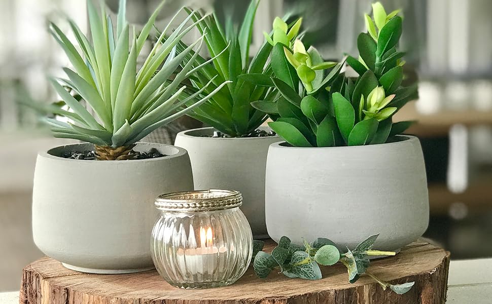 Nearly Natural Store -Nearly Natural Store cb37c101 40af 455a af1a f669c96cf5ee. CR049125121554 PT0 SX970 V1