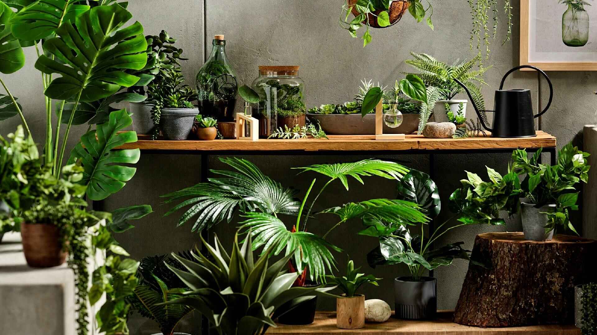 Nearly Natural Store -Nearly Natural Store five ways to style artificial plants 1
